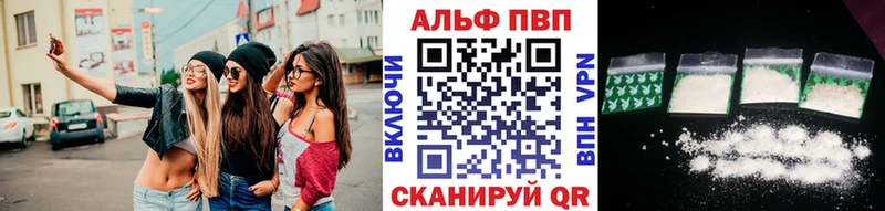 закладки Клинцы Альфа ПВП СК