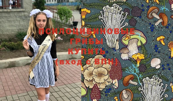 амф Зеленодольск