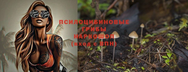 амф Зеленодольск