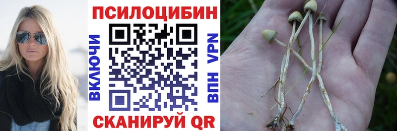 Псилоцибиновые грибы GOLDEN TEACHER  Клинцы 