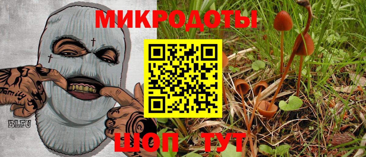 Клинцы  Псилоцибиновые грибы GOLDEN TEACHER  Вход с VPN 